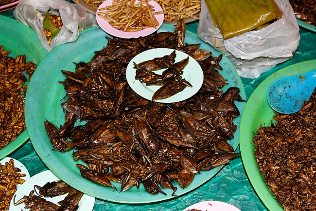 Chiang Rai-Marche-020